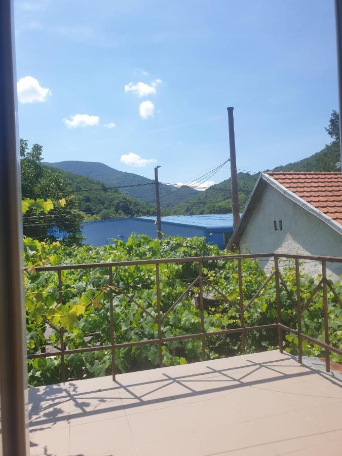 Casa Dina Hotell Băile Herculane Exteriör bild